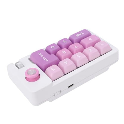 Fabater Mechanical Number Pad, Wired USB Numeric Keypad with 12 RGB LED Backlight and Joystick Roller, 12 Keys Macro Keyboard for Laptop PC Gaming, Numpad for Laptop Computer (Purple) - color: Purple