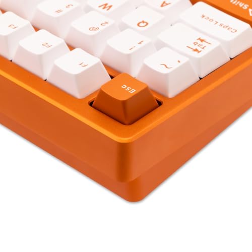 KEEBMONKEY WOBKEY Rainy 75 Aluminum HMX/JWK Switches Mechanical Keyboard with Superior Acoustics, Wired, BT, 2.4G Wireless Connectivity (Pro Orange(Mirrored Glass Weight)) - style: Pro Orange(Mirrored Glass Weight)