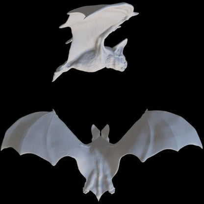 Large Animal Miniature for DND Pathfinder RPG Unpainted Resin 28mm-32mm (Giant Bat)