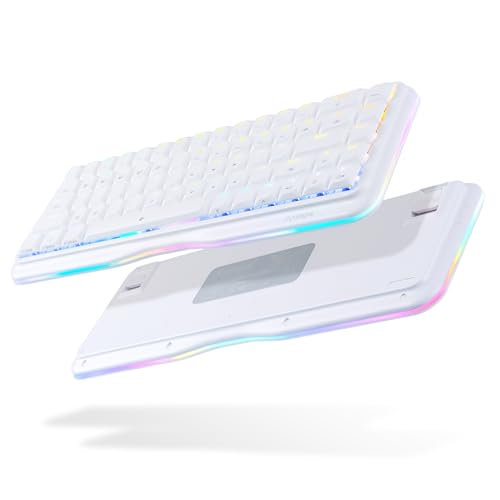DIERYA K68se Gaming Mechanical Keyboard,60% Percent Keyboard with Red Linear Switch,RGB Backlight,Ultra-Compact Mini 68 Keys Anti-Ghosting for PC Windows Gamer Typist