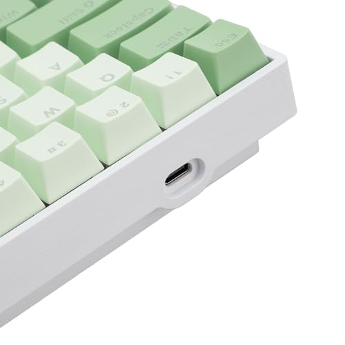 60 Percent Mechanical Keyboard, Compact Hot Swappable RGB Backlit Wired Gaming Keyboard, Red Switch for PC Office Work