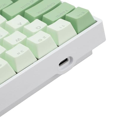 60 Percent Mechanical Keyboard, Compact Hot Swappable RGB Backlit Wired Gaming Keyboard, Red Switch for PC Office Work