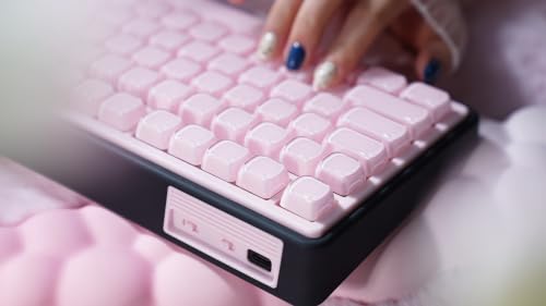 ZORNHER UR82 Wireless Mechanical Keyboard, 75% Pink & Black Creamy Keyboard with Glossy Jelly Cat-Ear Keycaps,Hot-Swappable RGB Gaming Keyboard for Windows/Mac, BT/2.4G/USB-C - color: Pink Jelly Cat-Black Case