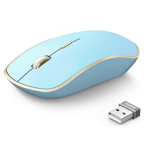 JOYACCESS Wireless Mouse for Laptop | 5 DPI Levels, Silent for Notebook, MacBook, Chromebook, PC - Blue - color: Blue