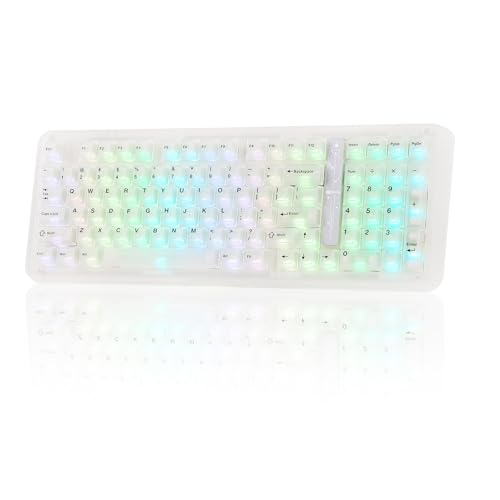 KiiBoom Phantom98 Lite 96% Wireless Mechanical Gaming Keyboard, VIA Programmable, Creamy Keyboard with Gasket, 8000mAh Battery, Hot Swap, RGB Backlits, NKRO for Win/Mac (Clear, Mossy Silent Switch) - color: Clear, size: Mossy Silent Switch