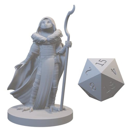 Druid Miniatures for DND Pathfinder RPG Unpainted Resin 28mm-32mm 3D Printed (Owlfolk Druid)