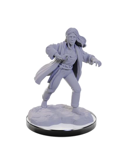 WizKids D&D Nolzur's Marvelous Miniatures: Reborn Paladin & Warlock Dungeons and Dragons Unpainted Miniatures - style: Reborn Paladin & Warlock