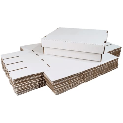 25-Pack • Monster 3200-count • Woodhaven Trading Firm Brand Trading/Gaming Card Storage Box