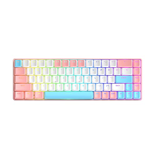 68 Keys Wired Mechanical Gaming Keyboards with RGB Backlight, Mini Portable 60% Mechanical Gaming Keyboard for Computer Laptop Gamer (Chalk Edition Blue Switch) - color: Chalk Edition Blue Switch