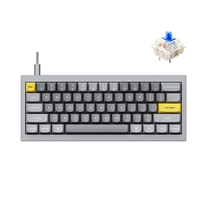 Keychron Q4 Wired Custom Mechanical Keyboard, QMK/VIA Programmable Macro, Full Aluminum, Hot-Swappable Gateron G Pro Blue Switch, 60% Layout Double Gasket Compatible with Mac and Windows - Blue - color: Gray (Gateron G Pro Blue Switch)