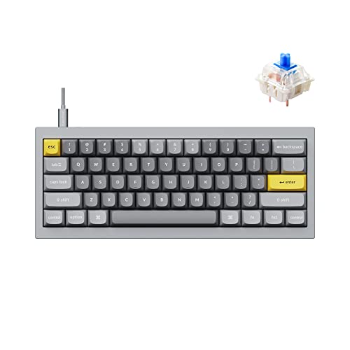 Keychron Q4 Wired Custom Mechanical Keyboard, QMK/VIA Programmable Macro, Full Aluminum, Hot-Swappable Gateron G Pro Blue Switch, 60% Layout Double Gasket Compatible with Mac and Windows - Blue - color: Gray (Gateron G Pro Blue Switch)