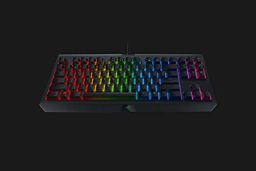Razer BlackWidow TE Chroma v2 TKL Tenkeyless Mechanical Gaming Keyboard: Orange Key Switches, Tactile & Silent, Chroma RGB Lighting, Magnetic Wrist Rest, Programmable Macros, Classic Black - style: V2 TKL TE