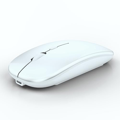 WREANU Wireless Bluetooth Mouse Rechargeable Laptop Mice Silent Slim Use(BT5.2 and 2.4G Portable USB Receiver) Dual Mode Computer Mouse for Laptop/iPad/Tablet/Apple/Computer/Mac(Bright White) - color: Bright White