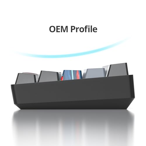 Portable 60% Mechanical Gaming Keyboard Grey/Black, RGB Backlit Wired Key Board with Blue Switch, Compact 61 Keys Mini Office Keyboards with for Windows Laptop PC (61 Dolch/Blue Switch) - color: 61 Dolch/Blue Switch
