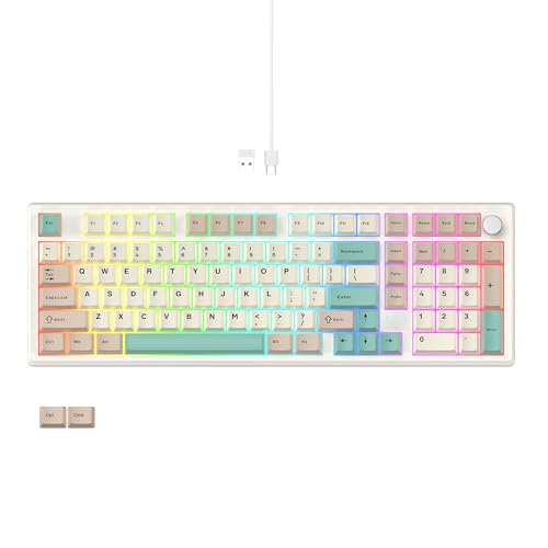 LUMI101 Wireless Mechanical Keyboard,Full-size keyboard with numeric keypad，Tri-Mode BT5.0/2.4GHz/USB-C Hot Swappable Custom Keyboard,RGB Backlit Computer Gaming Keyboards for PC/Tablet/PS/Xbox(Green) - color: Green