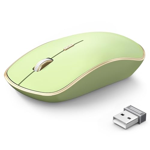 JOYACCESS J 2.4G Slim Wireless Silent Mouse - Portable Wireless Computer Mouse with 5 Adjustable DPI Levels, USB for Desktop, Notebook, MacBook, Chromebook, PC (Light Green) - color: Light Green