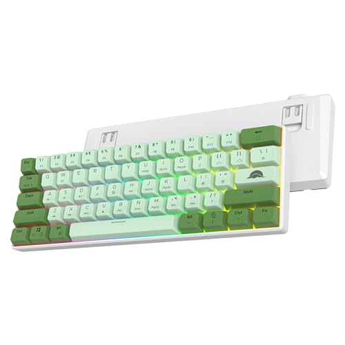 60% Mechanical Keyboard Wired Linear Red Switch RGB Backlight | 60 Percent 61-keys Compact Layout Gaming Keyboard TKL Ultra-Compact Mini RGB Backlit - color: 61 Matcha/Red Switch