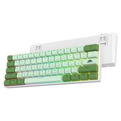 60% Mechanical Keyboard Wired Linear Red Switch RGB Backlight | 60 Percent 61-keys Compact Layout Gaming Keyboard TKL Ultra-Compact Mini RGB Backlit - color: 61 Matcha/Red Switch