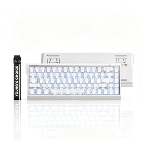 MCHOSE ACE 68 V2 Magnetic Switch Keyboard,65% Hall Effect Rapid Trigger Wired Gaming Keyboard with 0.001mm Adjustable Actuation 8K Hz Polling Rate RGB Backlit Keycaps for Esports (Transparent) - color: ACE68 V2-Transparent