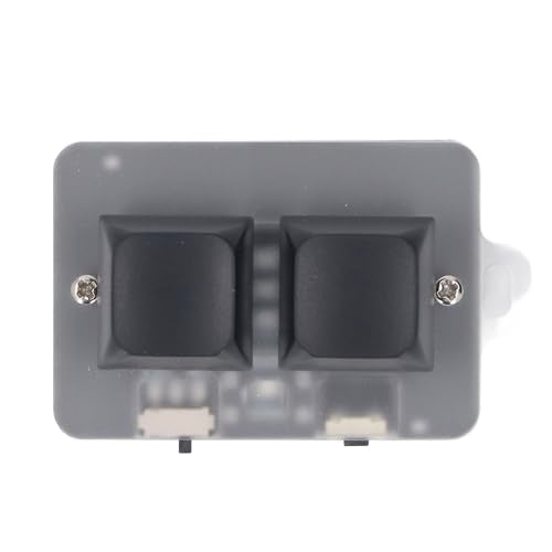 LICAEVEY USB 2-Key Mini Keypad, Support Programming Macro and Software Blue Switch Custom Keyboard with RGB Light, Support Bluetooth and USB C Connection