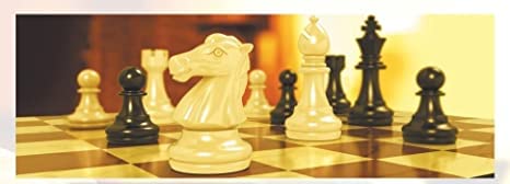 Magnetic Travel Chess Set 10 Inches with Folding Chess Board Educational Toys for Kids and Adults - size: 10"
