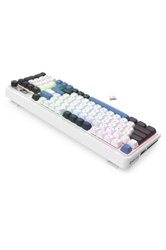 Redragon K719 Wireless Gasket Gaming Keyboard w/Hype Screen & Knob, 95 Keys Mechanical Keyboard, Easy-Control 1.14’’ TFT Info Display, 5-Layer Noise Dampener, Round PBT Keycaps, Mint Mambo Switch - color: Glacier Azure