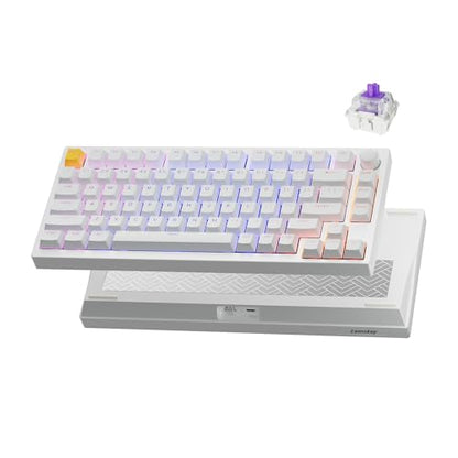 LEMOKEY P1 HE 75% Wireless Custom Mechanical Gaming Keyboard with Gateron Double-Rail Magnetic Switches Knob Version, QMK 2.4 GHz Bluetooth 5.2 RGB Backlight Compatible with Mac Windows Linux - White - color: Shine-Through-White