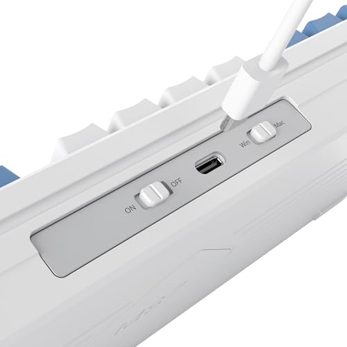 Owpkeenthy 75 Percent Gaming Keyboard Gasket Mounted,87 Key Wired TKL Mechanical Keyboard Hot Swappable Linear Pre-lubed Linear Switch South-Facing RGB Backlit for PC Laptop (N-Blue) - color: N-Blue/White