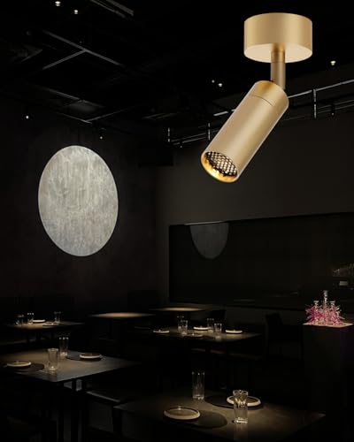 Led Modern Directional Spotlight, Zoomable Uplighting Indoor Spotlight Accent Lighting for Cafeteria Foyer Living Room- 7W COB Chip CRI 97 Flicker Free - color: Surface Mounted-Gold, size: 7W-2700K