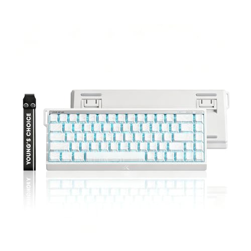 MCHOSE ACE 68 V2 Magnetic Switch Keyboard,65% Hall Effect Rapid Trigger Wired Gaming Keyboard with 0.001mm Adjustable Actuation 8K Hz Polling Rate RGB Backlit Side Printed Keycaps for Esports (White) - color: ACE68 V2-White Topographic