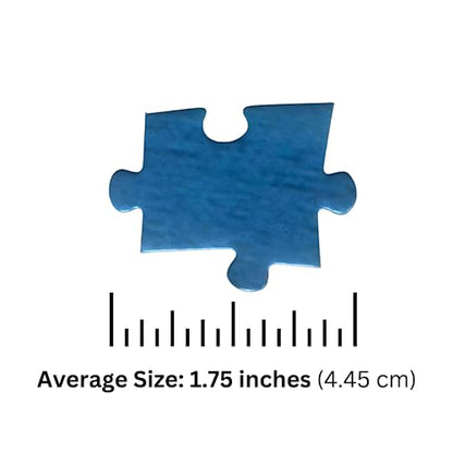 Bits and Pieces 3 Jigsaw Puzzle Set - 300 Piece Puzzles for Adults - Alan Giana Seasons Set - 18" x 24" Jigsaw Puzzles - Spring Winter Beach - Random Die Cut Pieces No 2 are Alike - size: 18" x 24" - Three 300 Piece Puzzles