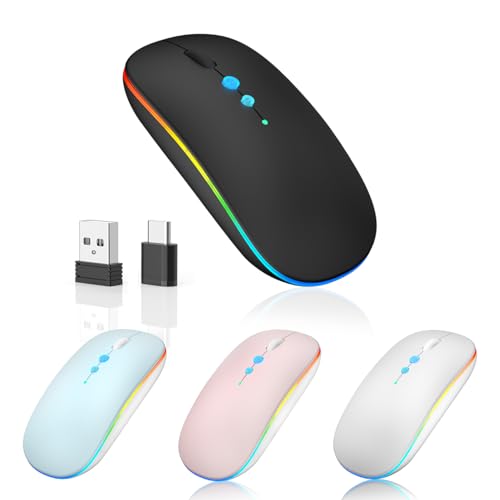 Halpilt LED Wireless Mouse A100S Rechargeable Portable Silent Mouse with Optional USB and Type-C Receiver 3-Speed Adjustable DPI for PC/Mac/Laptop (Frosted Black) - color: Ink painting