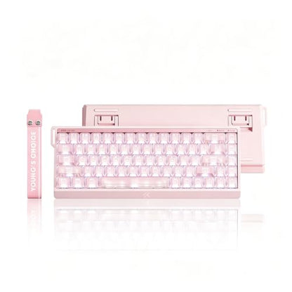 MCHOSE ACE 68 V2 Magnetic Switch Keyboard,65% Hall Effect Rapid Trigger Wired Gaming Keyboard with 0.001mm Adjustable Actuation 256K Scanning 8K Hz Polling Rate RGB Backlit Keycaps for Esports (Pink) - color: ACE68 V2-Pink