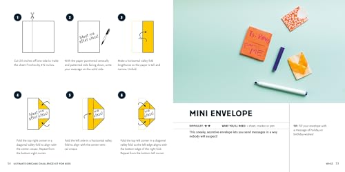 Ultimate Origami Challenge Kit for Kids 8-12: Fun Projects and Step-by-Step Folding Techniques to Go from Novice to Pro (90 Paper Sheets / 30 Projects Included)