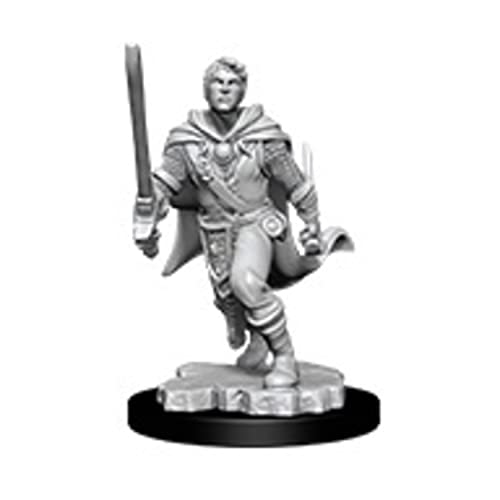 D&D Nolzur's Marvelous Unpainted Miniatures: Male Human Ranger (2)