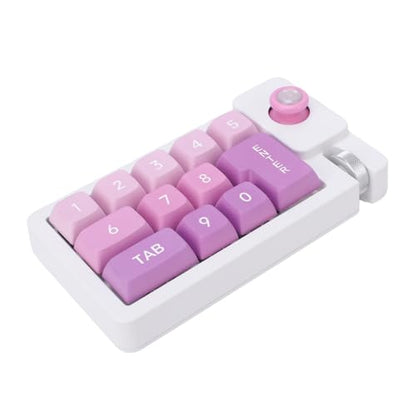 Fabater Mechanical Number Pad, Wired USB Numeric Keypad with 12 RGB LED Backlight and Joystick Roller, 12 Keys Macro Keyboard for Laptop PC Gaming, Numpad for Laptop Computer (Purple) - color: Purple
