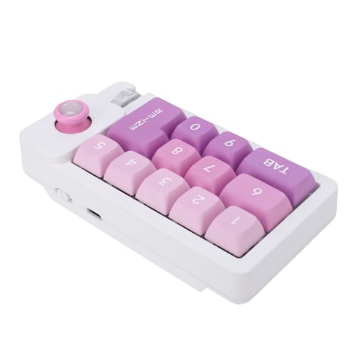 Fabater Mechanical Number Pad, Wired USB Numeric Keypad with 12 RGB LED Backlight and Joystick Roller, 12 Keys Macro Keyboard for Laptop PC Gaming, Numpad for Laptop Computer (Purple) - color: Purple