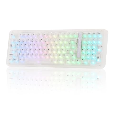 KiiBoom Phantom98 Lite 96% Wireless Mechanical Gaming Keyboard, VIA Programmable, Creamy Keyboard with Gasket, 8000mAh Battery, Hot Swap, RGB Backlits, NKRO for Win/Mac (Clear, Mochi Switch) - color: Clear, size: Mochi Switch