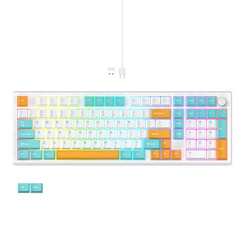 LUMI101 Wireless Mechanical Keyboard,Full-size keyboard with numeric keypad，Tri-Mode BT5.0/2.4GHz/USB-C Hot Swappable Custom Keyboard,RGB Backlit Computer Gaming Keyboards for PC/Tablet/PS/Xbox(Blue) - color: Blue