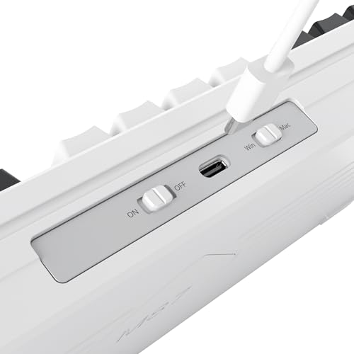 Owpkeenthy 75 Percent Gaming Keyboard Gasket Mounted with Pre-lubed White Switch, 87 Key Wired Mechanical Keyboard Hot Swappable RGB Backlit for MAC Win (R-Purple) - color: R-Purple/White