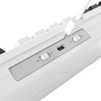 Owpkeenthy 75 Percent Gaming Keyboard Gasket Mounted with Pre-lubed White Switch, 87 Key Wired Mechanical Keyboard Hot Swappable RGB Backlit for MAC Win (R-Purple) - color: R-Purple/White