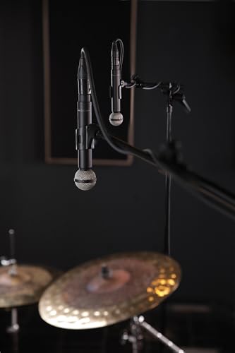 Beyerdynamic M 160 Double Ribbon Microphone