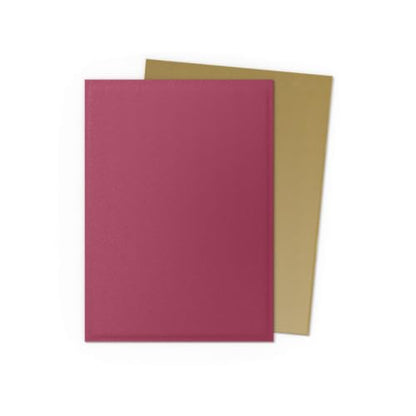Dragon Shield | Matte Dual Standard Size Card Sleeves | 100 CT - Smooth & Tough Premium TCG Sleeves - Compatible with Pokemon, Flesh & Blood, One Piece & Magic the Gathering | Red/Gold - color: Red/Gold