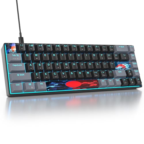 Owpkeenthy Portable 65% Percent Mechanical Gaming Keyboard, Mini Wired Ultra Compact RGB 68 Keys Office Keyboard with Red Switch Backlit for PC/PS5/XBOX(Dark/ 68 Red Switch) - color: Dark/ 68 Red Switch