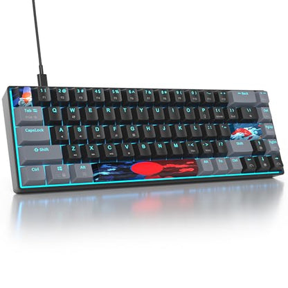 Owpkeenthy Portable 65% Percent Mechanical Gaming Keyboard, Mini Wired Ultra Compact RGB 68 Keys Office Keyboard with Red Switch Backlit for PC/PS5/XBOX(Dark/ 68 Red Switch) - color: Dark/ 68 Red Switch