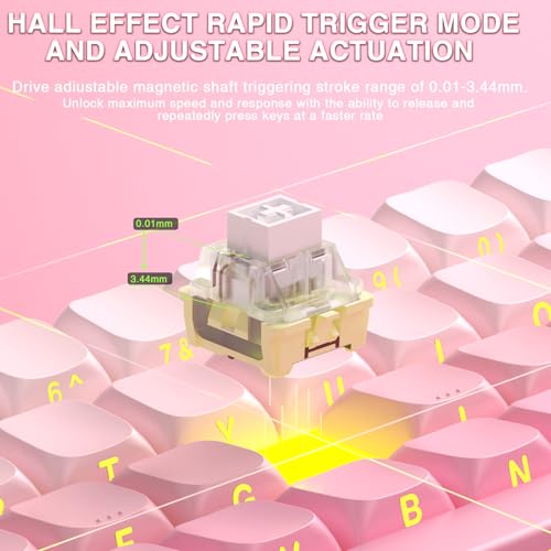 Aula MINI60 HE PRO Wireless Gaming Keyboard 60%,Hall Effect Rapid Trigger Magnetic Keyboard,8000Hz Polling,Tri-Mode(BT5.0/2.4GHz/USB-C),RGB Hot Swappable Compact Pink Mechanical Keyboard for Gamer - color: Pro-Pink Side