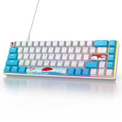 Owpkeenthy Portable 60% Mechanical Gaming Keyboard, Ultra Compact RGB Wired 65 Percent Mini Office Keyboard Backlit with Red Switch for PC/PS5/XBOX(Blue/ 68 Red Switch) - color: Blue/ 68 Red Switch