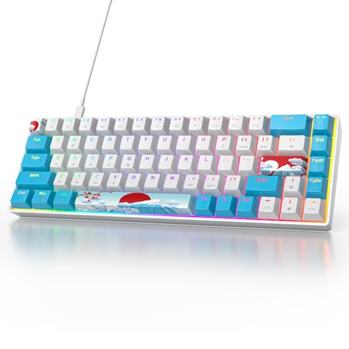 Owpkeenthy Portable 60% Mechanical Gaming Keyboard, Ultra Compact RGB Wired 65 Percent Mini Office Keyboard Backlit with Red Switch for PC/PS5/XBOX(Blue/ 68 Red Switch) - color: Blue/ 68 Red Switch