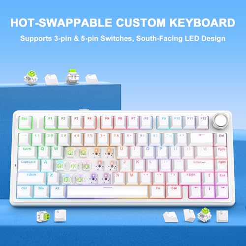 AULA F75 - 75% Mechanical Keyboard, Wireless Gaming keyboard BT5.0/2.4GHz/USB-C, Hot Swappable Custom Pre-lubed Switches with Knob, RGB Backlit Shine-Through PBT Keycaps Creamy Sounding Keyboard - color: White
