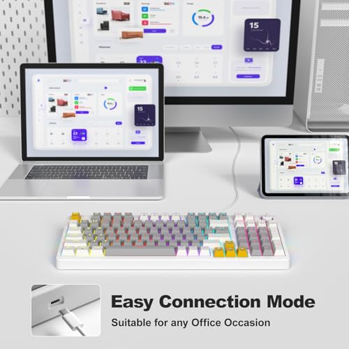 AK96 Mechanical Keyboard Smart Display & Knob, Top Mount 96% Wired Mechanical Keyboard USB-C, Hot Swappable, Software Support, Creamy Sounding, 96 Keys(Grey) - color: Gray
